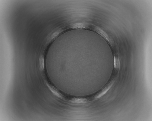 X0000113100205200908281354