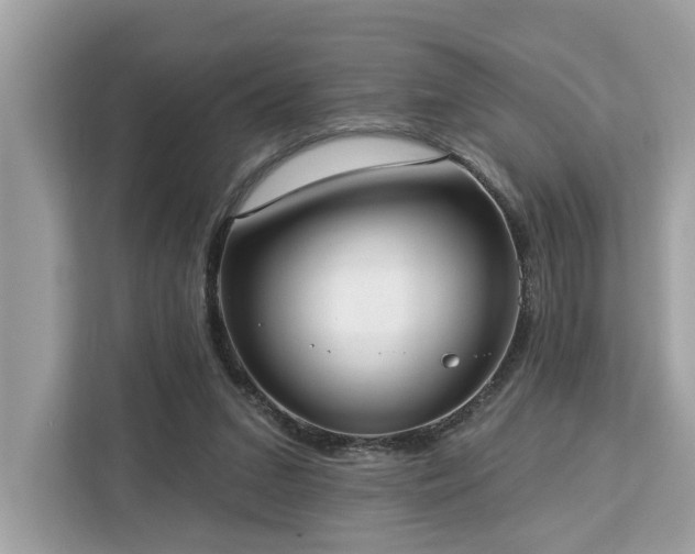 X0000113100207200908281354