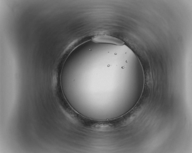 X0000113100208200908281354