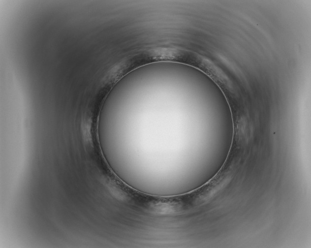 X0000113100209200908281354