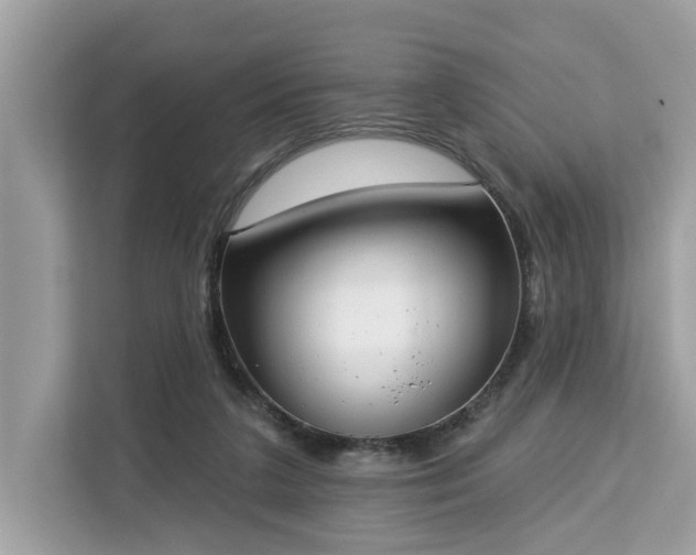 X0000113100211200908281354