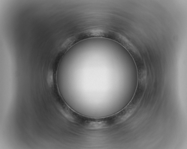 X0000113100213200908281354