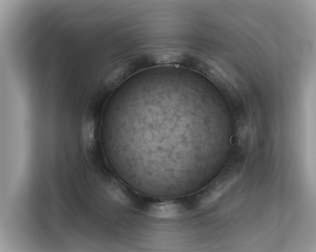 X0000113100219200908281354