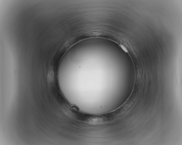 X0000113100220200908281354