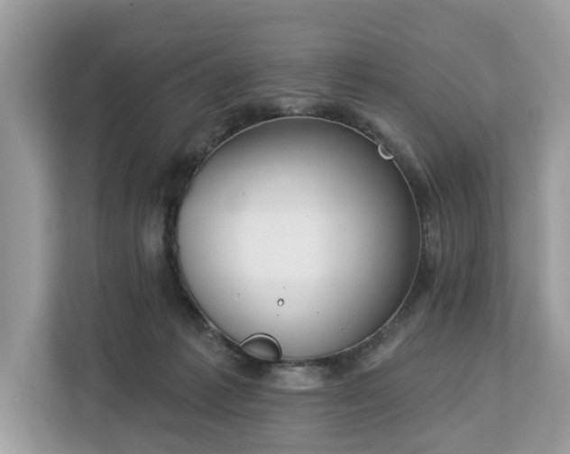 X0000113100221200908281354