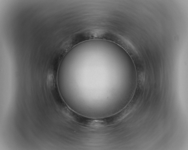 X0000113100222200908281354