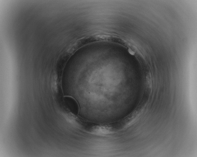 X0000113100223200908281354