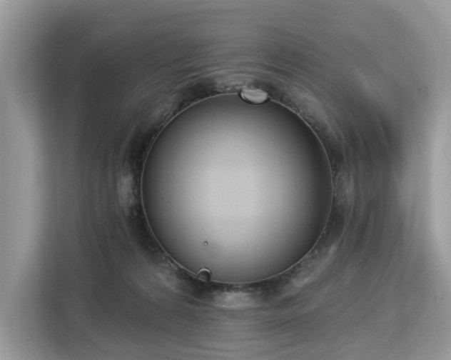 X0000113100224200908281354