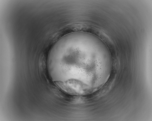 X0000113100226200908281354