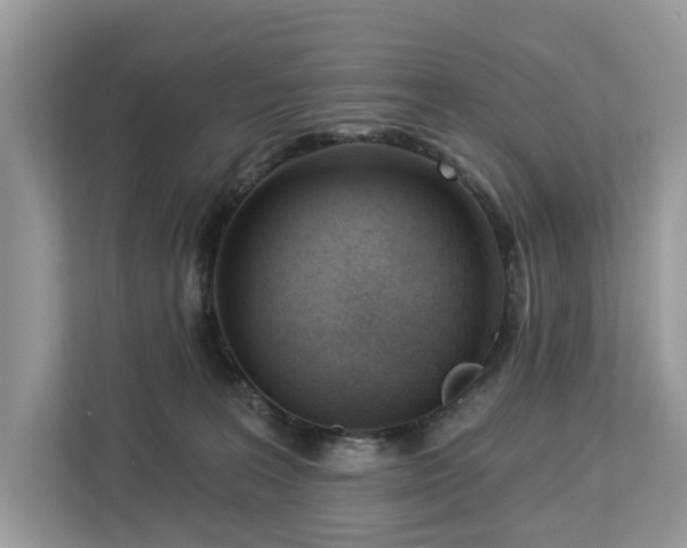 X0000113100227200908281354