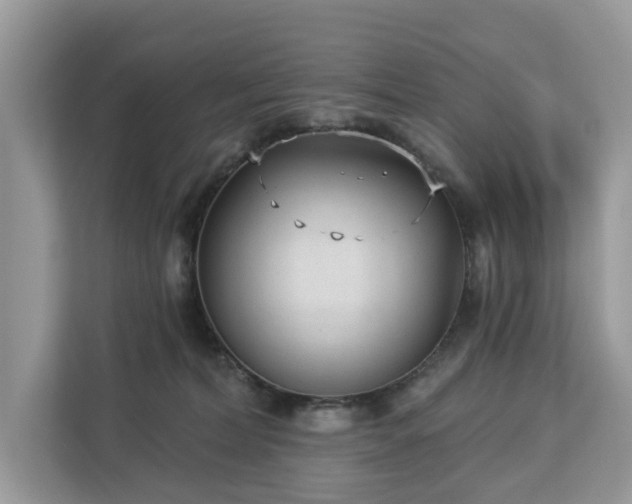 X0000113100228200908281354