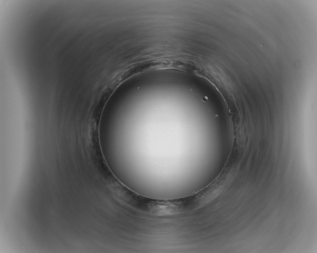 X0000113100229200908281354