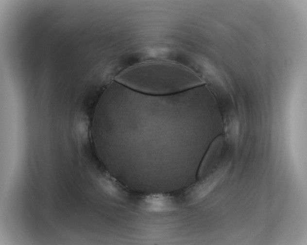 X0000113100231200908281354
