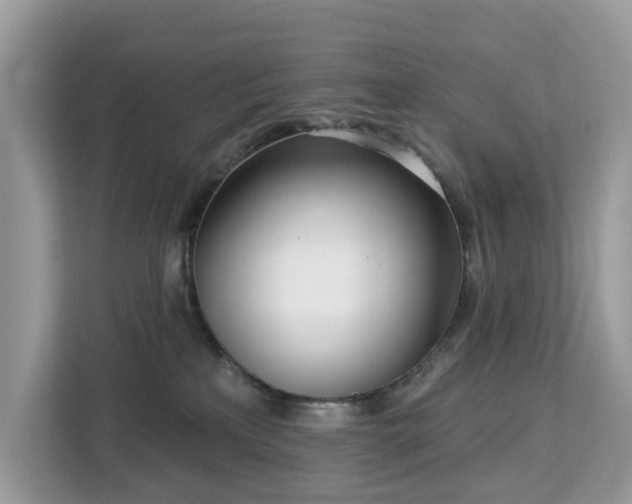 X0000113100233200908281354