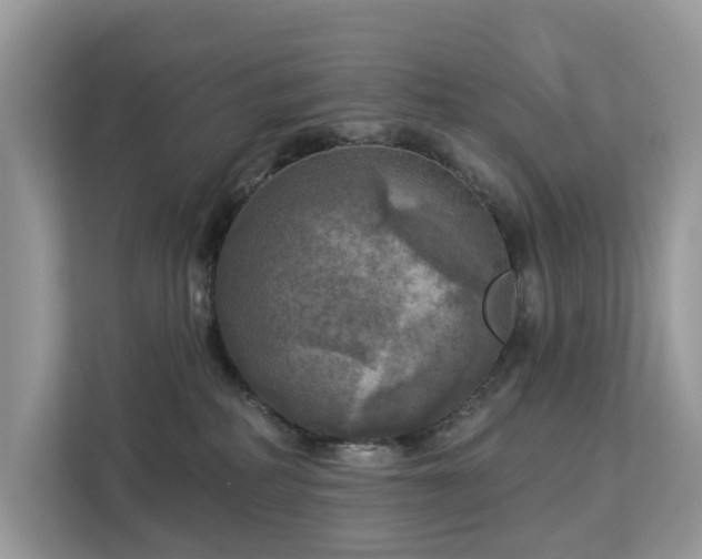 X0000113100234200908281354