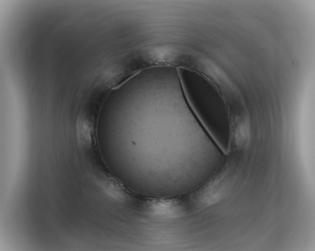X0000113100235200908281354