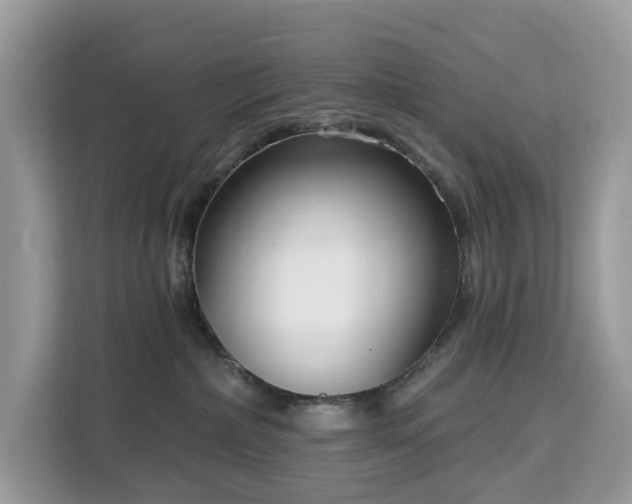 X0000113100236200908281354