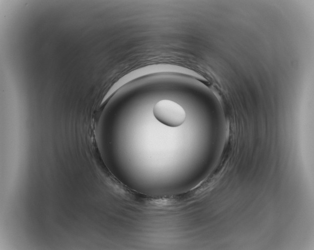 X0000113100237200908281354