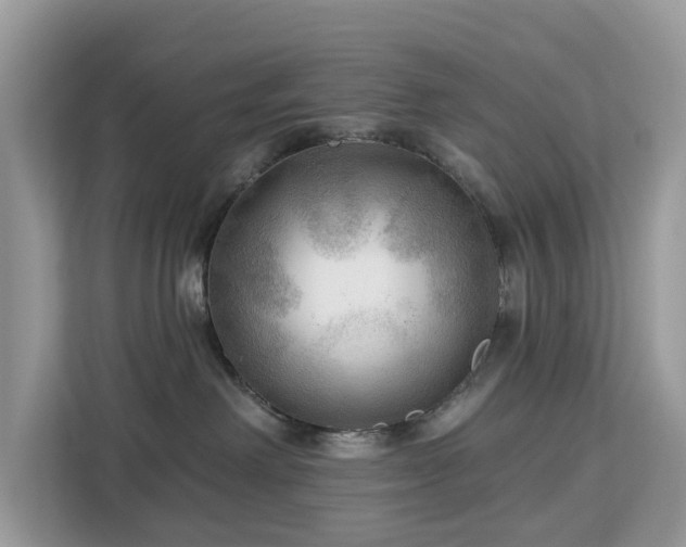 X0000113100238200908281354