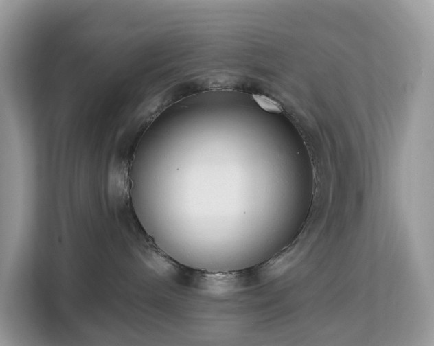 X0000113100240200908281354