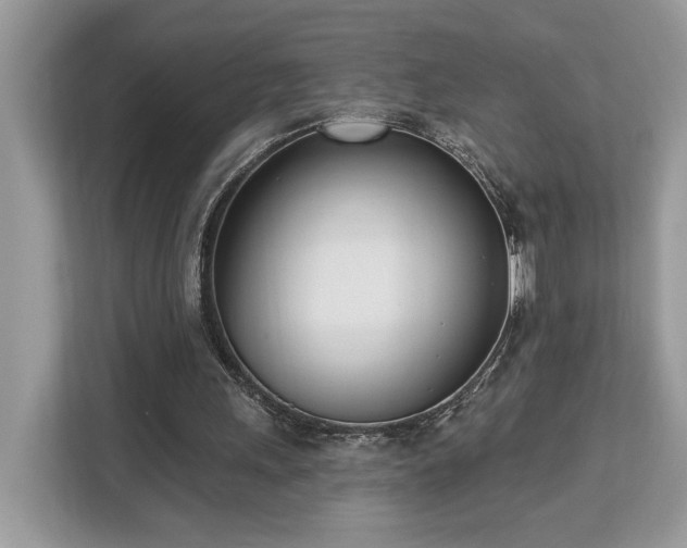 X0000113100243200908281353
