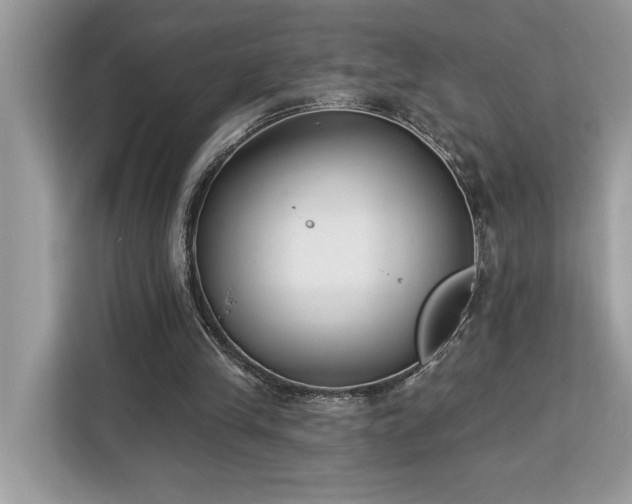 X0000113100245200908281353