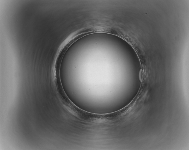 X0000113100246200908281353