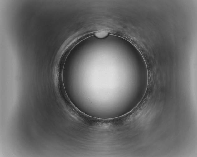 X0000113100247200908281353