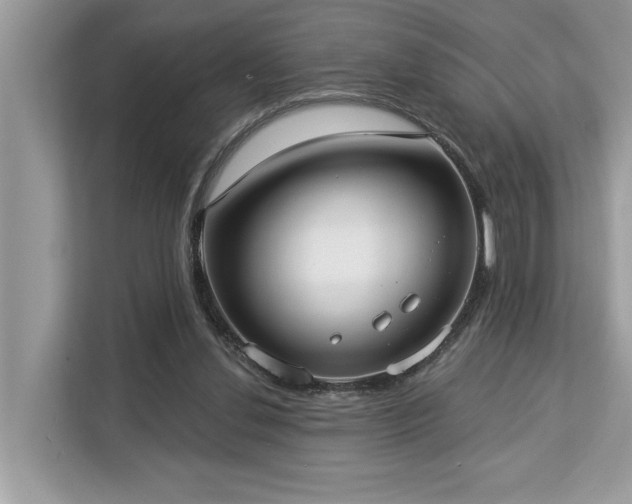 X0000113100252200908281353