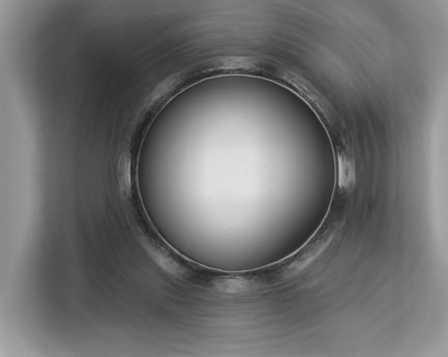 X0000113100253200908281354