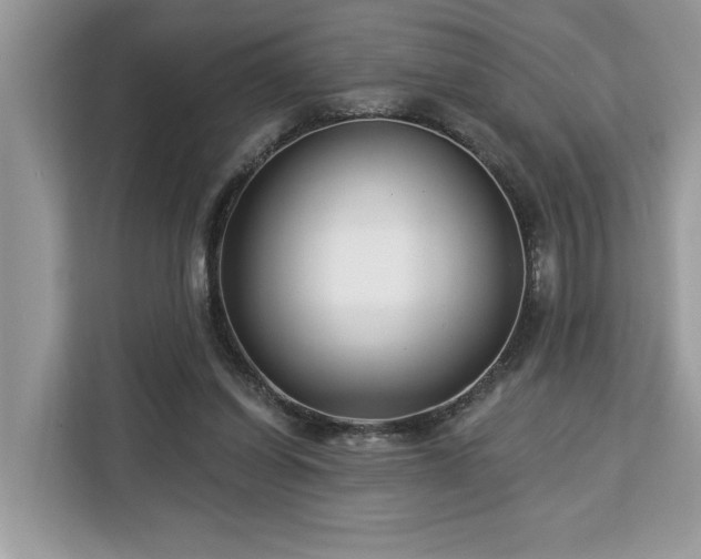 X0000113100254200908281354