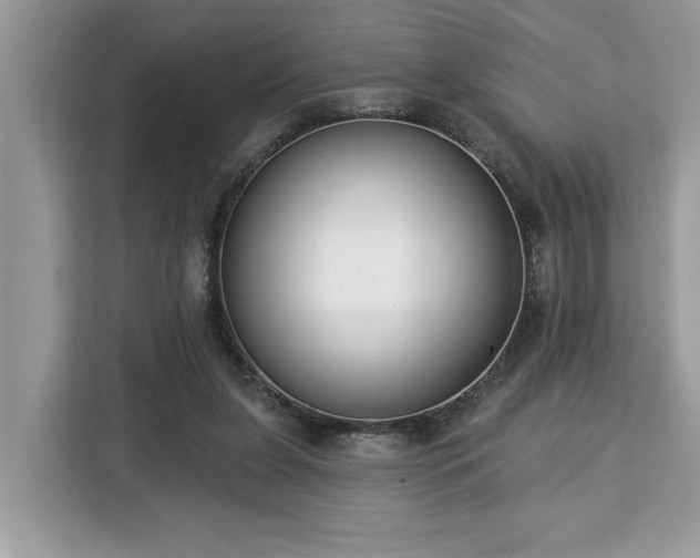 X0000113100255200908281354