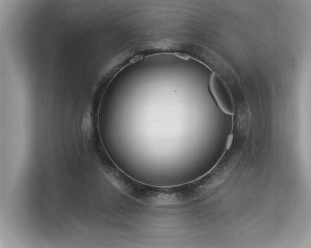 X0000113100256200908281354