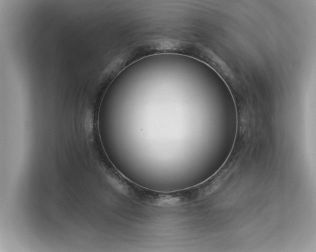 X0000113100257200908281354