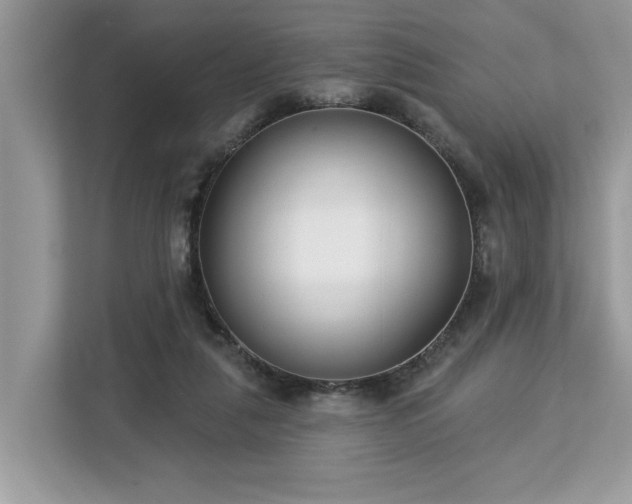 X0000113100259200908281354
