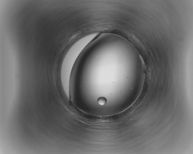 X0000113100260200908281354