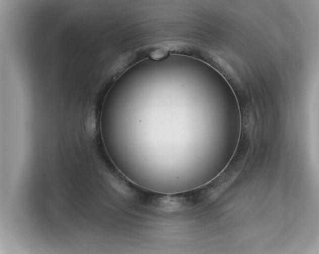 X0000113100261200908281354