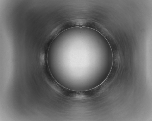 X0000113100262200908281354