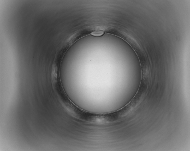 X0000113100264200908281354