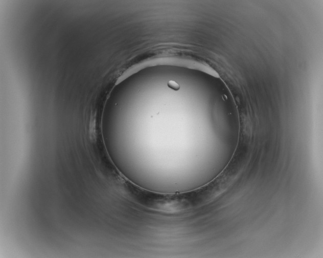 X0000113100267200908281354