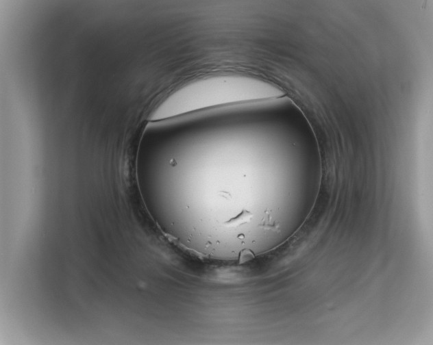 X0000113100268200908281354