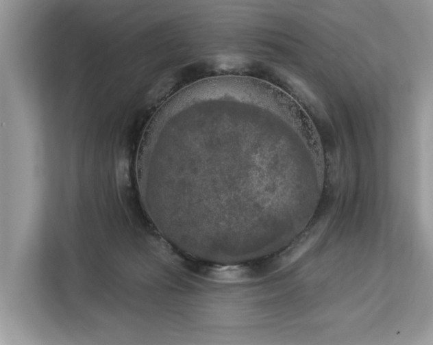 X0000113100269200908281354