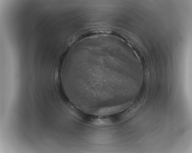 X0000113100270200908281354
