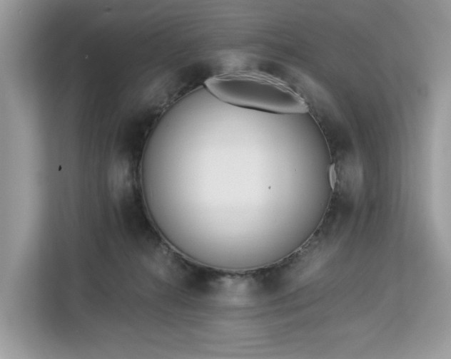 X0000113100272200908281354