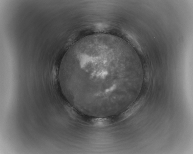 X0000113100273200908281354