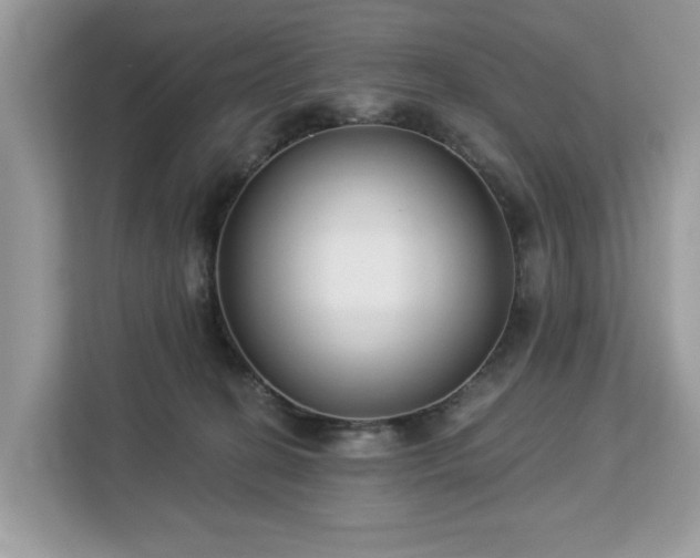 X0000113100274200908281354