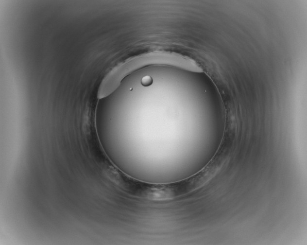 X0000113100275200908281354