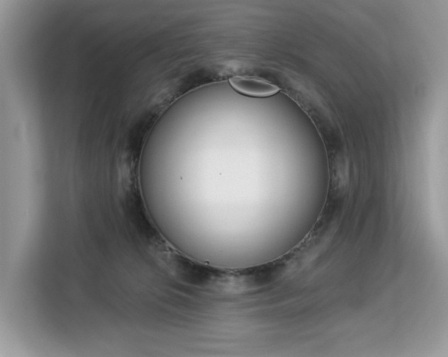 X0000113100276200908281354