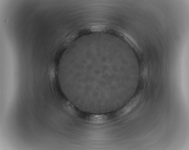 X0000113100277200908281354
