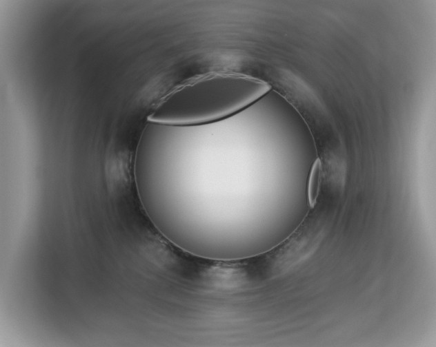 X0000113100280200908281354